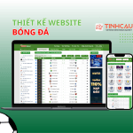 thiet ke web bong da api